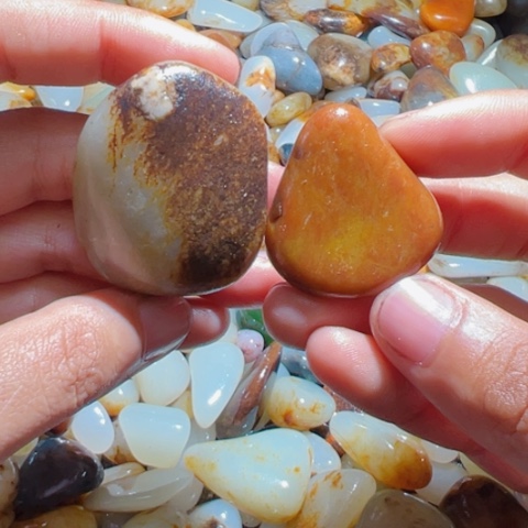 和田玉（糖玉）手链未镶嵌29