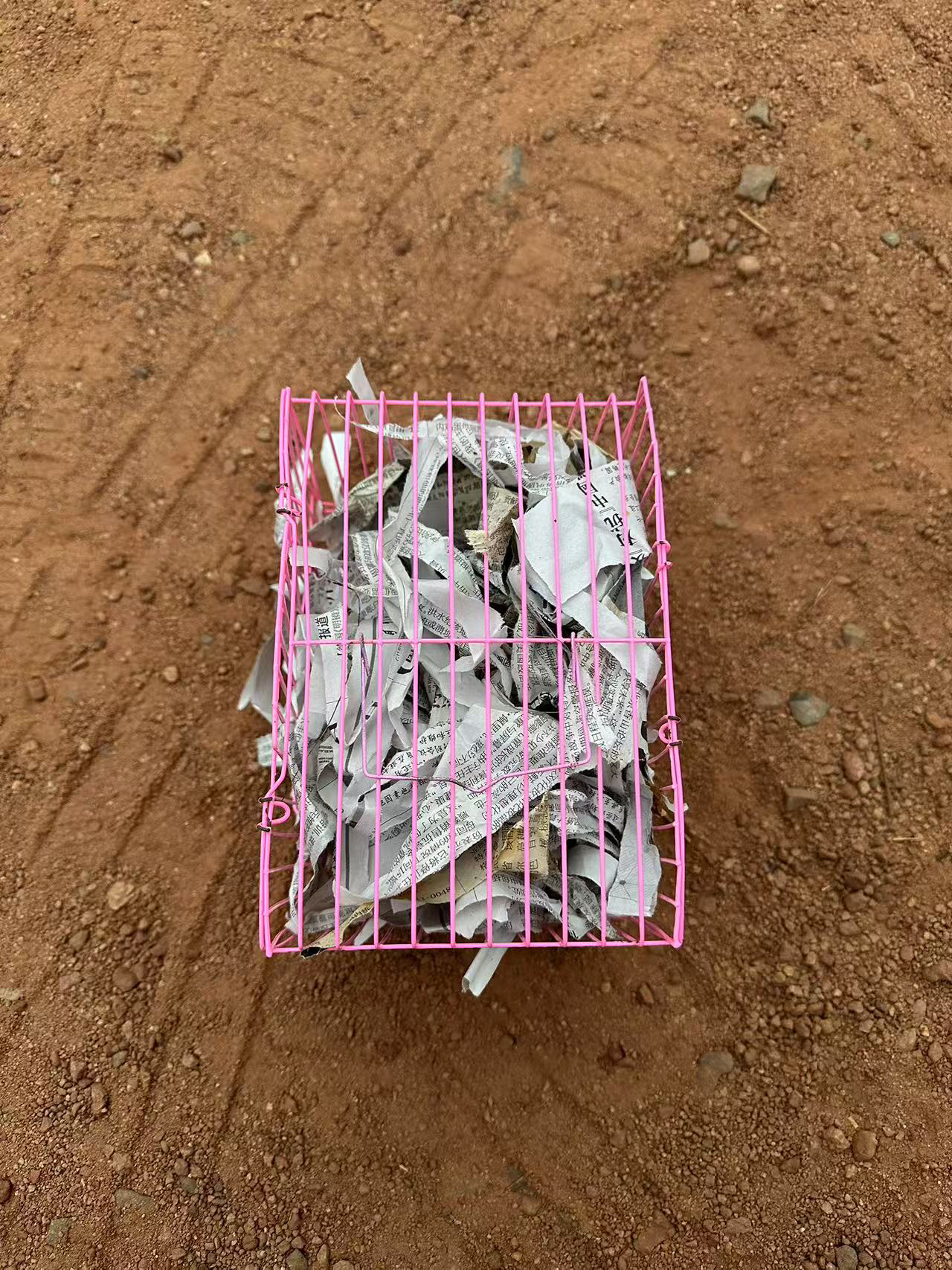 松鼠活体运输笼子包邮到家，损坏包赔