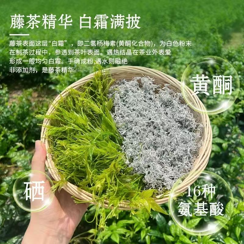 2025年新茶 湘西张家界永顺特级龙须莓茶 养生藤茶 养颜雪茶