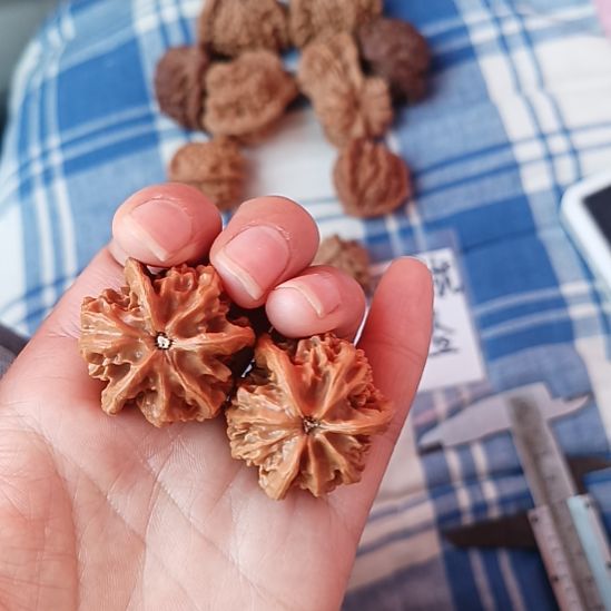 用***7盘山文玩核桃三棱打底