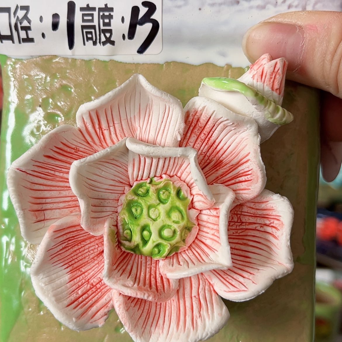 【闪购商品】红陶福利