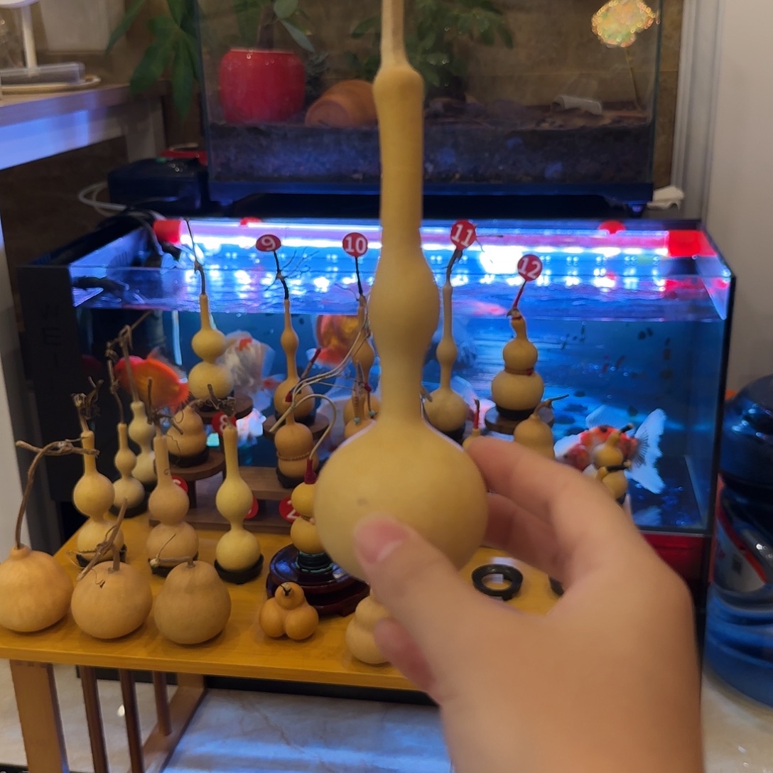 鱼***道葫芦葫芦，哈哈哈我