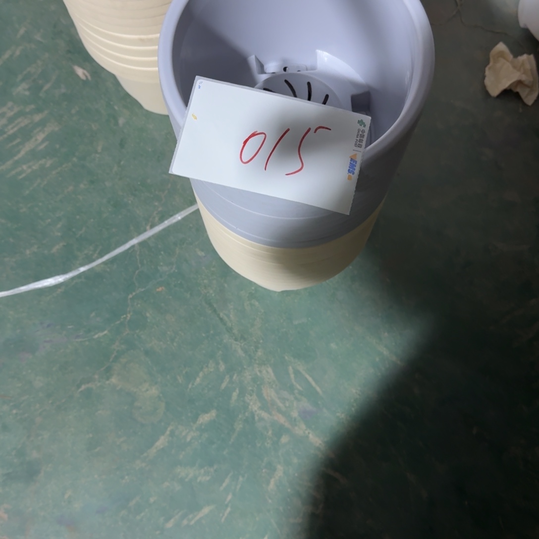 编号是015号的015号的