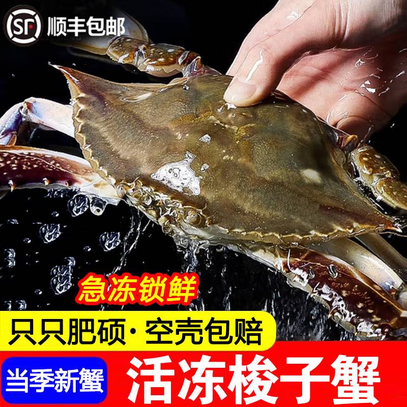 舟山梭子蟹4-6两6只大公蟹新鲜海鲜螃蟹飞蟹3斤【冻蟹】