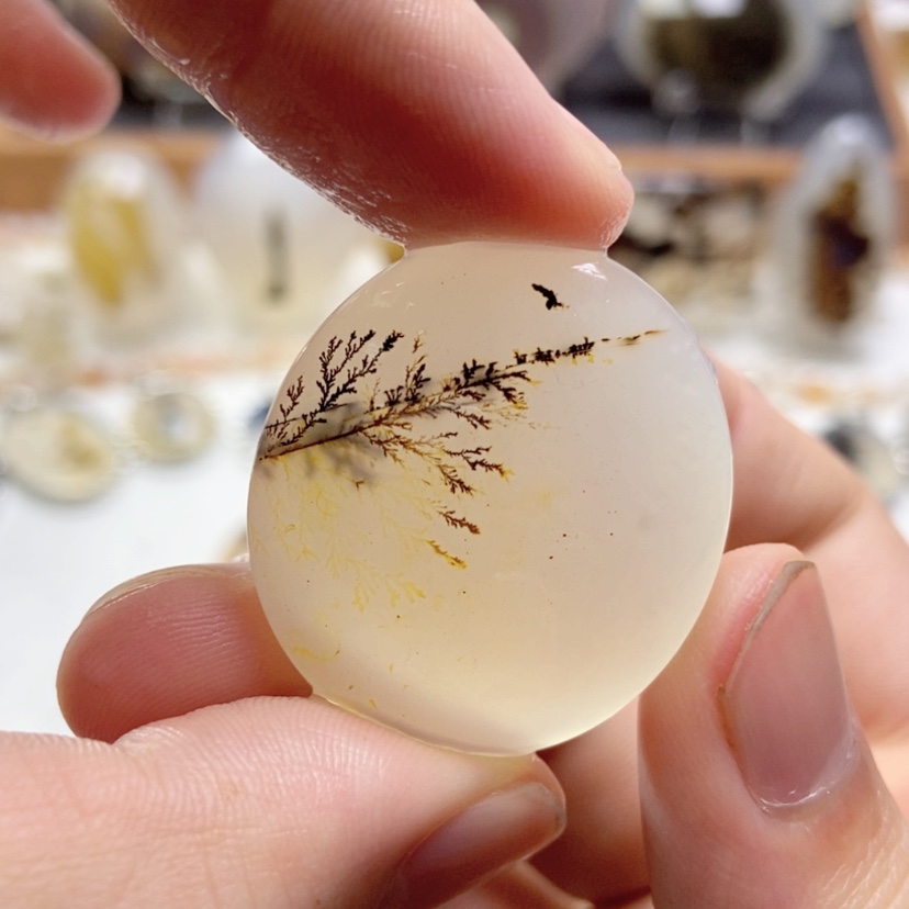 【闪购商品】玛瑙/玉髓颈饰未镶嵌