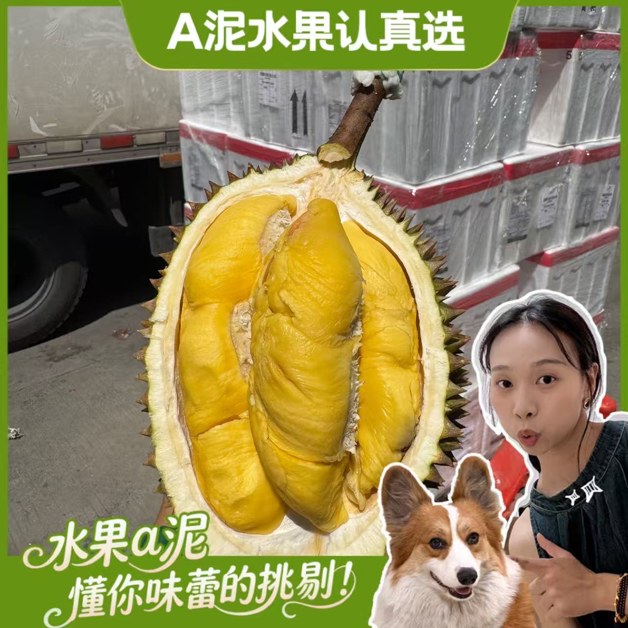 【整件5头】马来西亚D197鲜果猫山王榴莲丝滑软糯香甜