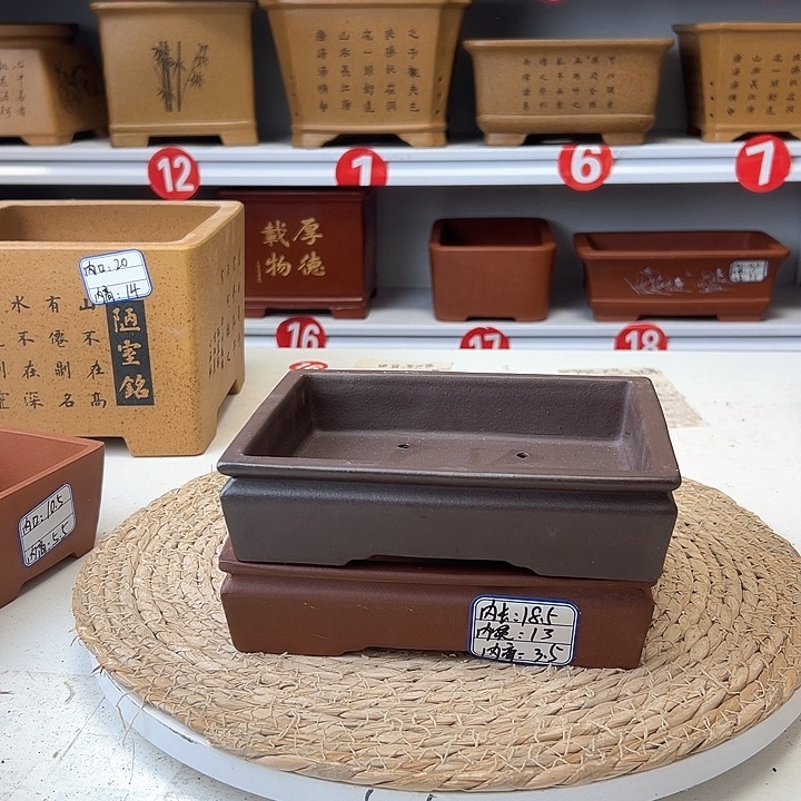 紫砂花盆蛇年大吉