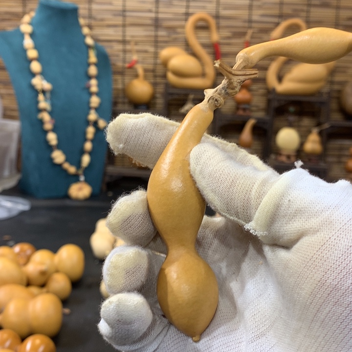 梨等经济林作物中含有多种植物蛋白