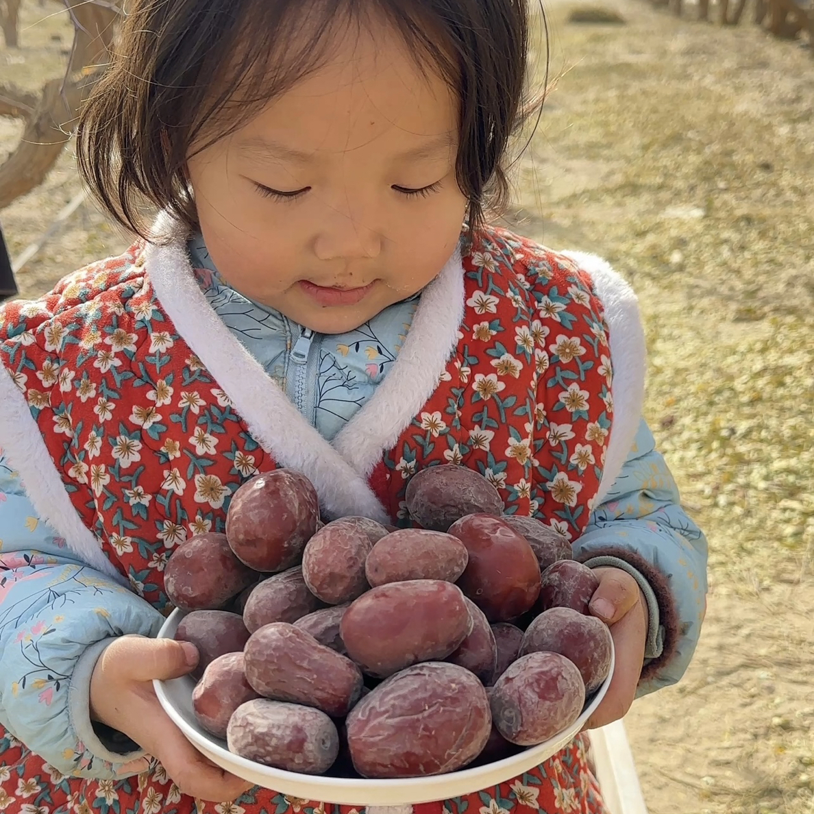 新疆和田大枣懒汉光头特一二混自然吊干未清洗枣香浓郁核小皮薄