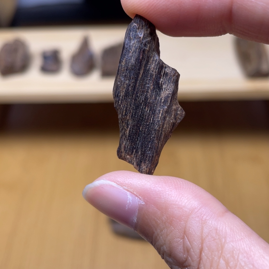 1.5克海南莺歌岭牙沉绿棋楠