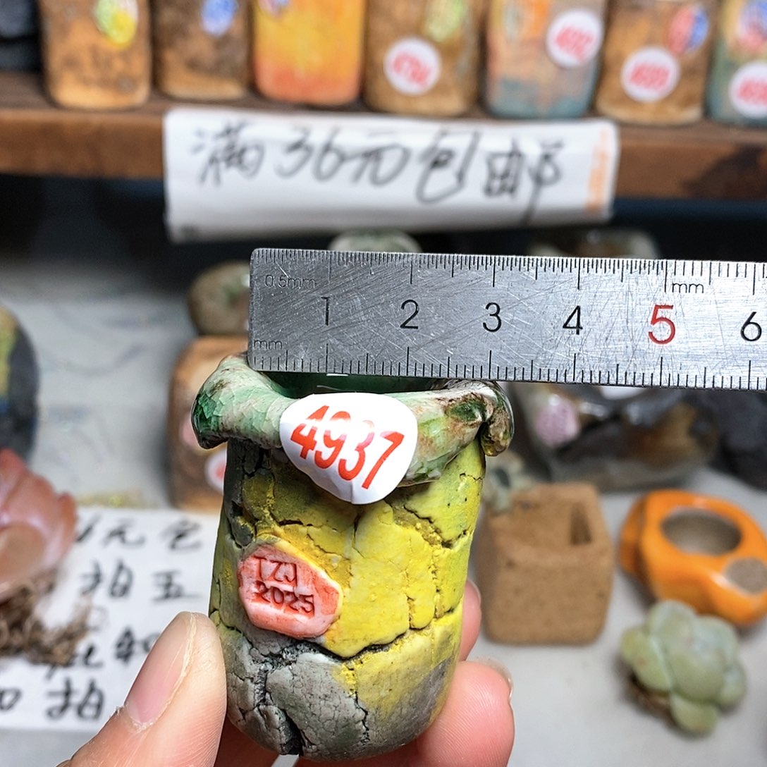 红陶拍5送一个小