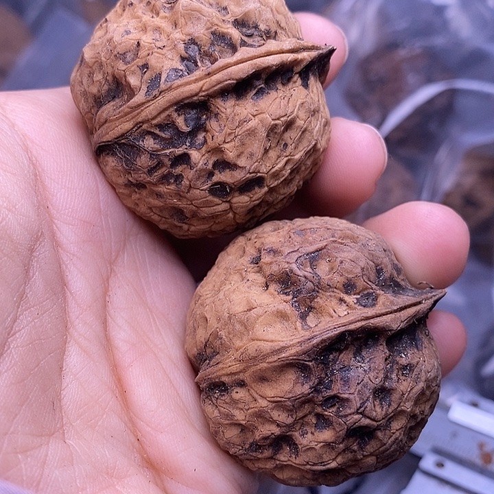 文玩核桃把件  35