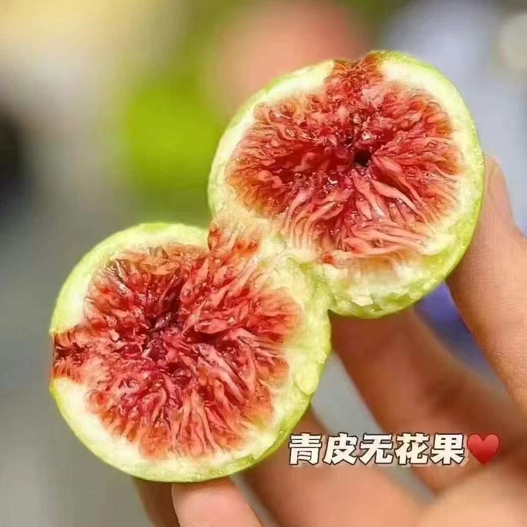 青皮无花果  清香入口 约1斤 