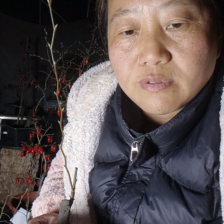 ꒰***꒱无花朵4235568688999