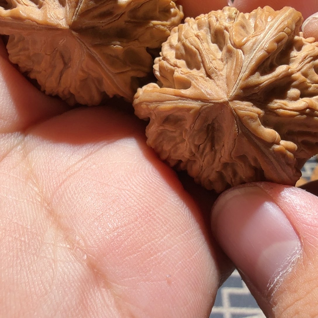 文玩核桃把件御龙正奔