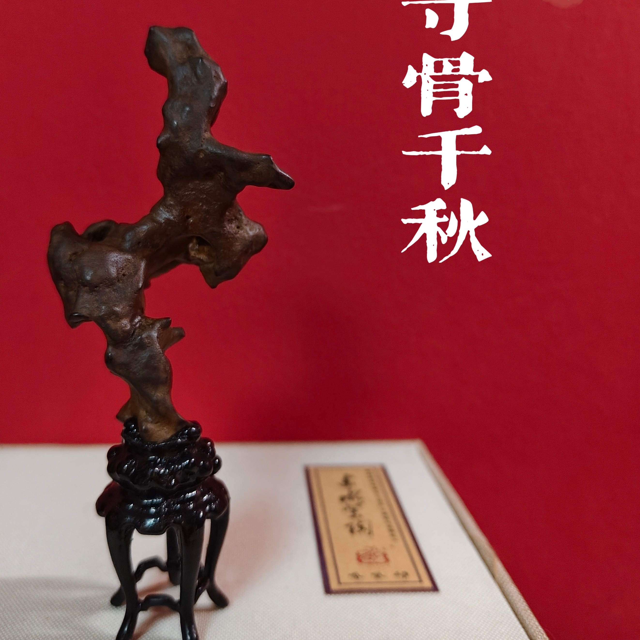 【寸古千秋】奇石太湖水石象形石书房茶桌办公室居家摆件