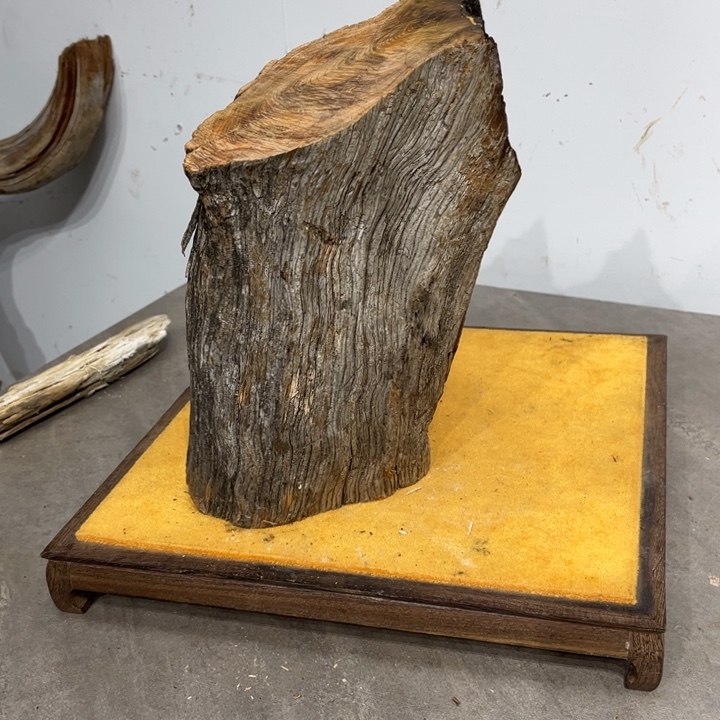 坏***团柏木崖柏等自然景和自然