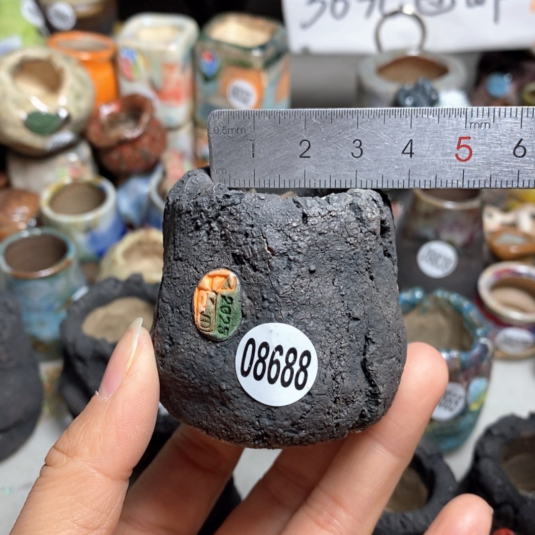 花盆拍3送一个小礼物