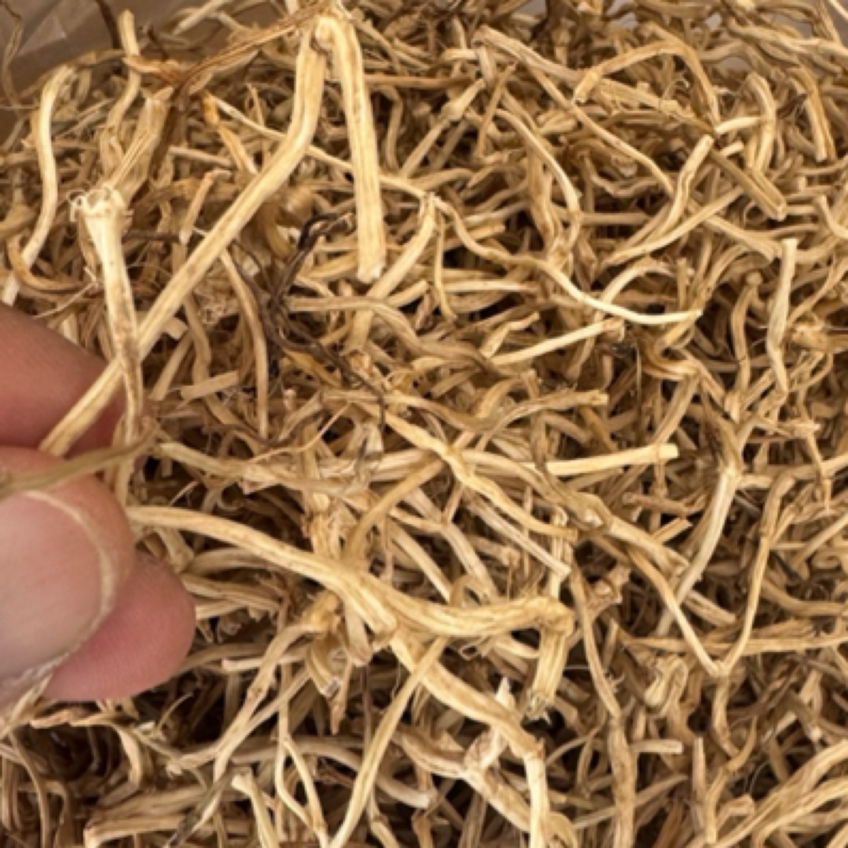 【蛟哥土特产】楠溪江白马兰