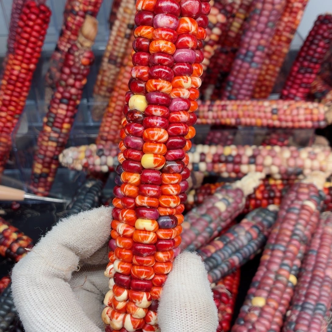 雅***娜白玉菩提吊坠文玩精品文玩精品