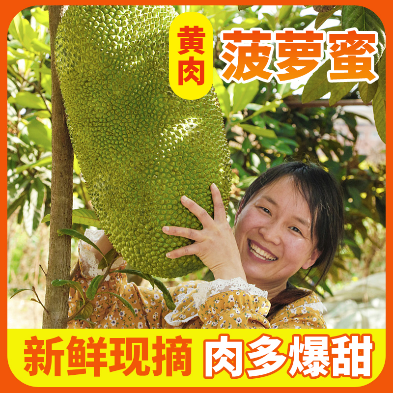 海南黄肉菠萝蜜整箱热带水果干苞脆甜无需催熟