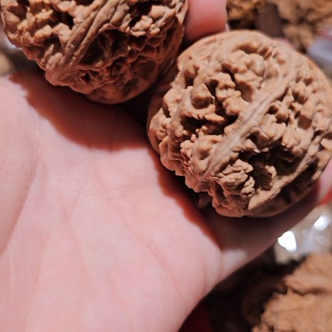 鸿***業文玩核桃吊坠47粗筋