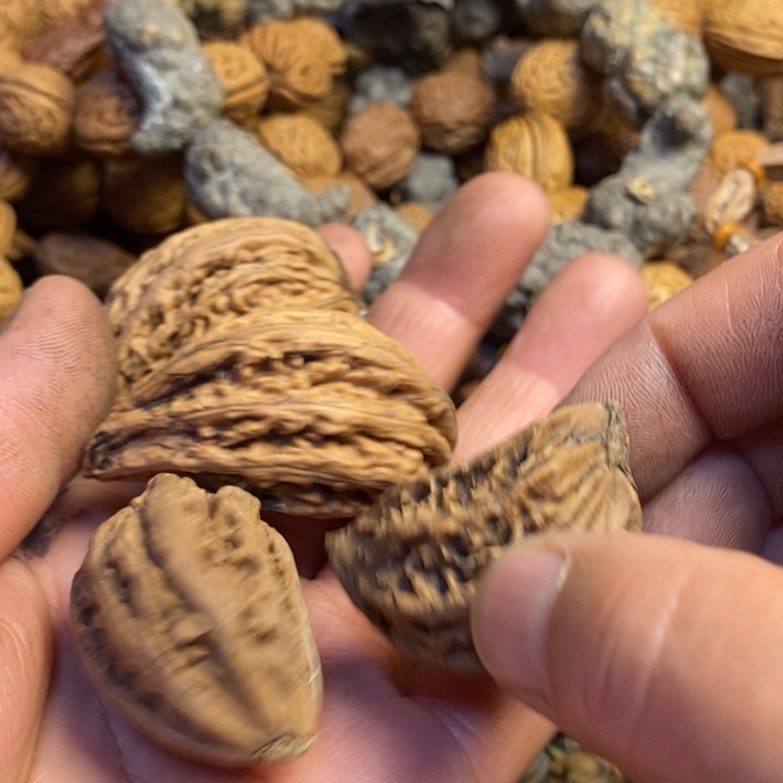 文玩核桃吊坠送一对197