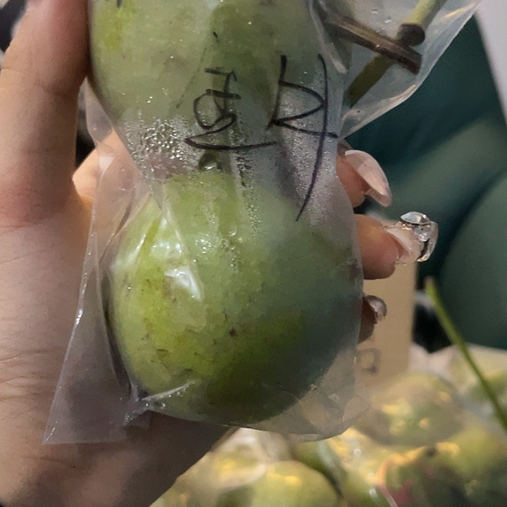 不***凡文玩核桃把件金牛