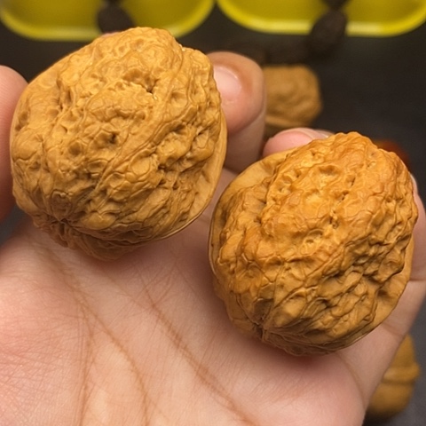 文玩核桃把件41尺金蟾王