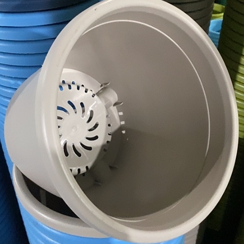 树脂四季4号灰白无托8个