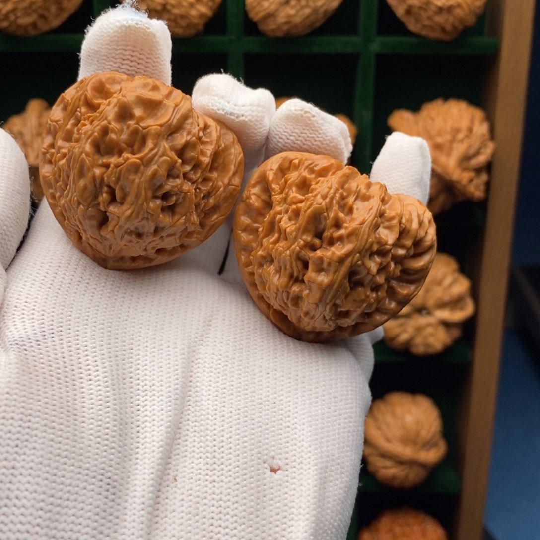 文玩核桃把件文玩核桃角白