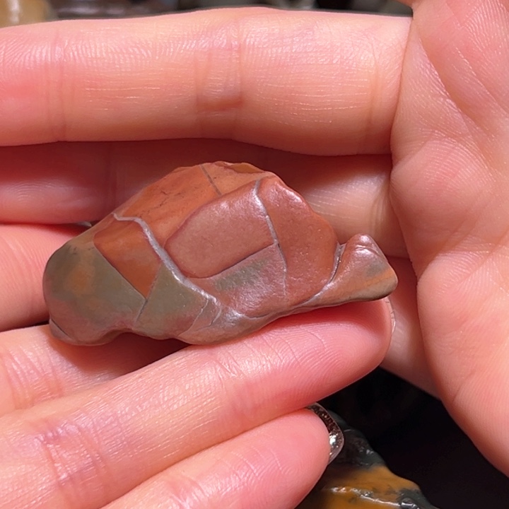 石材彩牙头像龟福利