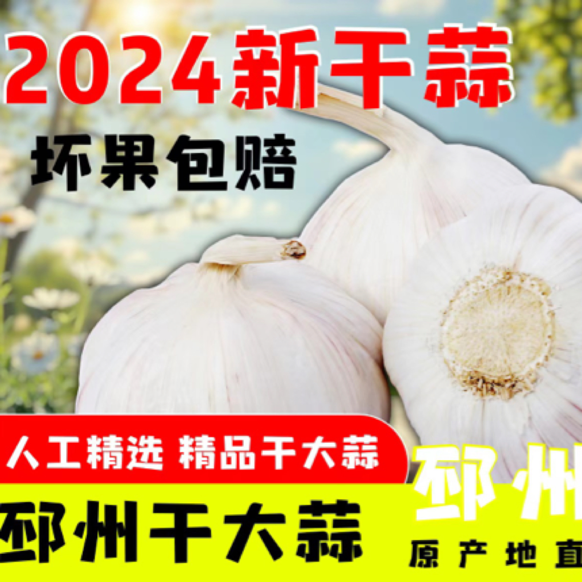 【特大果】邳州干大蒜原产地直发
