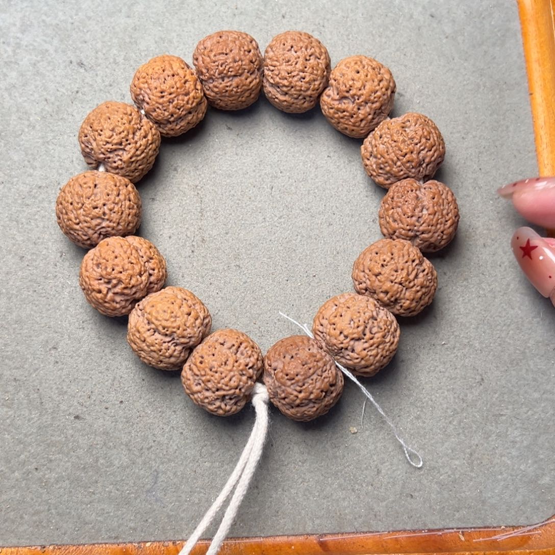 菩提有**炸16号金刚菩提菠萝蜜23