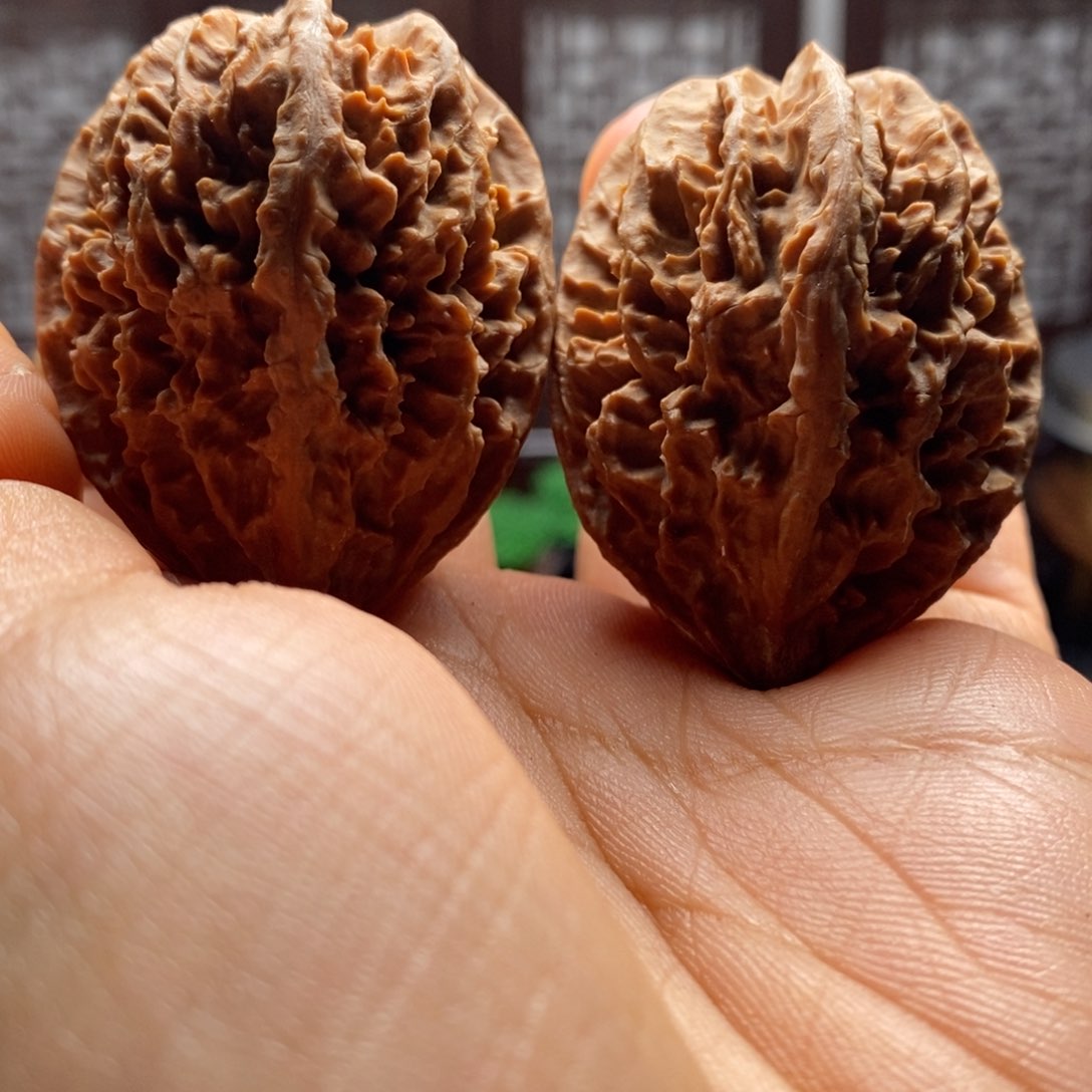 文玩核桃把件核桃4
