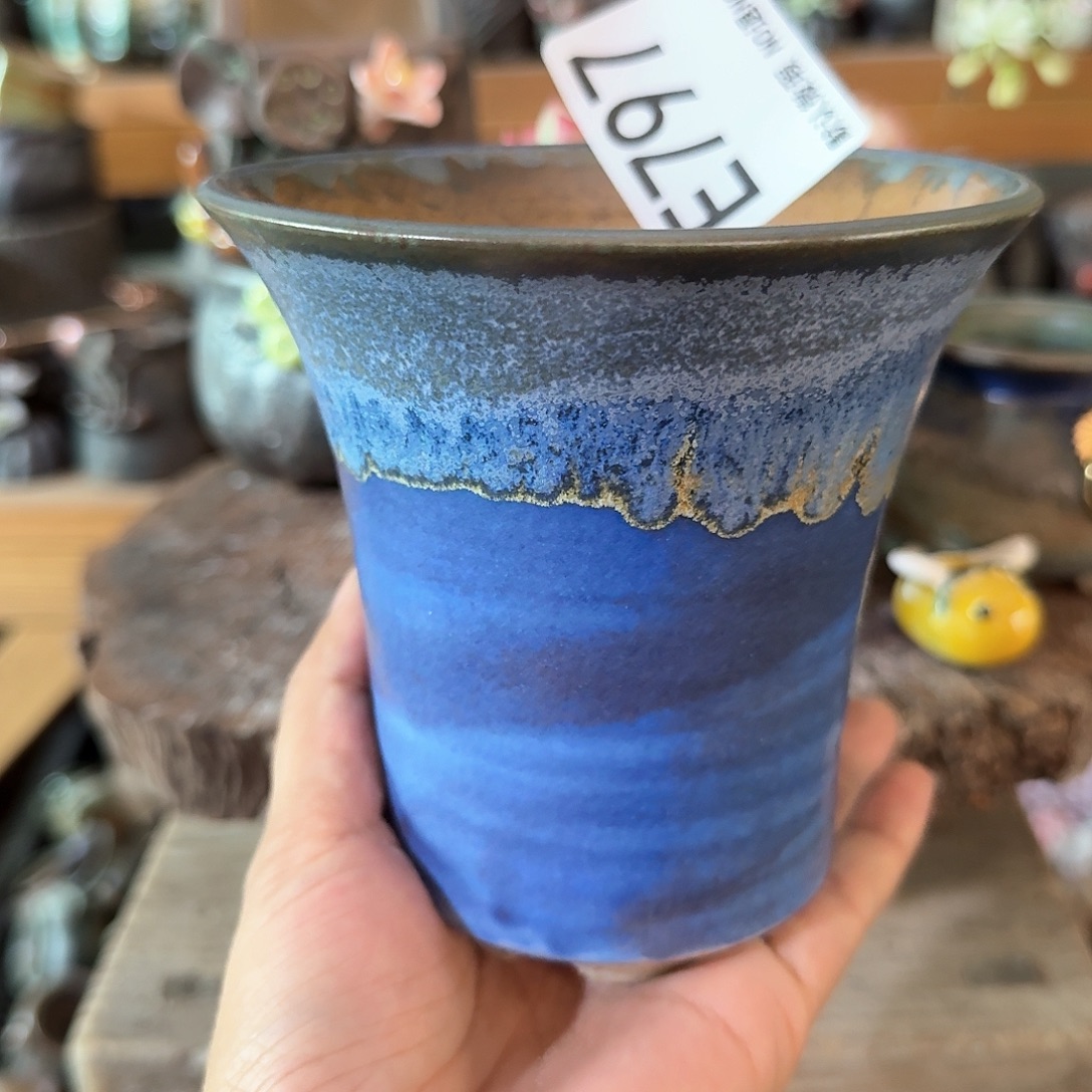 重庆小燕子欢迎大家797