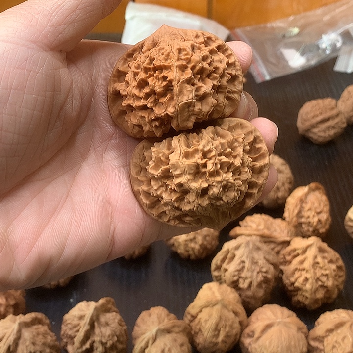 51官帽饼饼饼饼饼饼饼饼