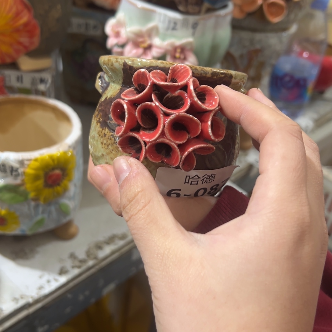 花盆，拍满20发货，退款拉黑