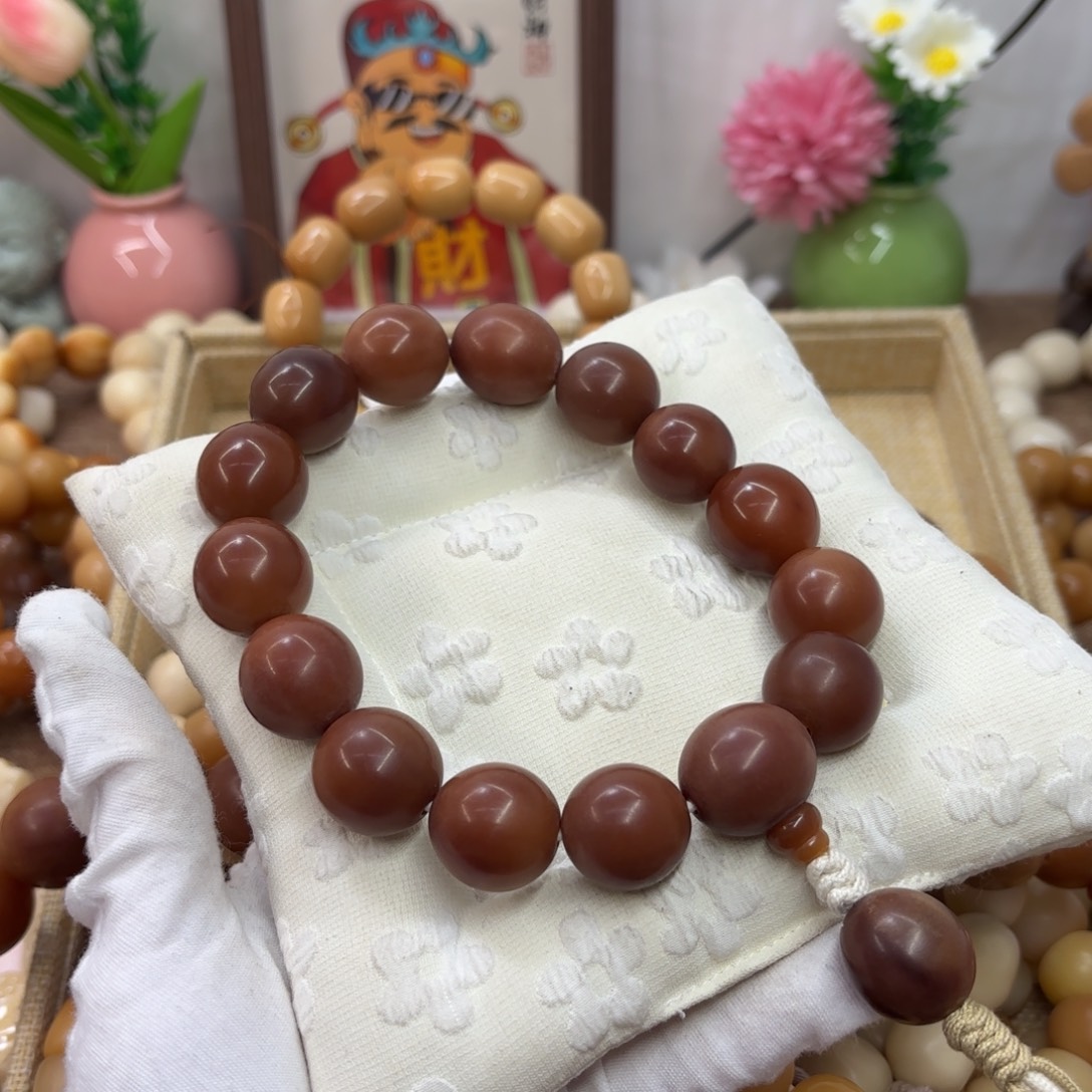 菩提根/象牙果吊坠21+干磨落地果稀有随行手持559