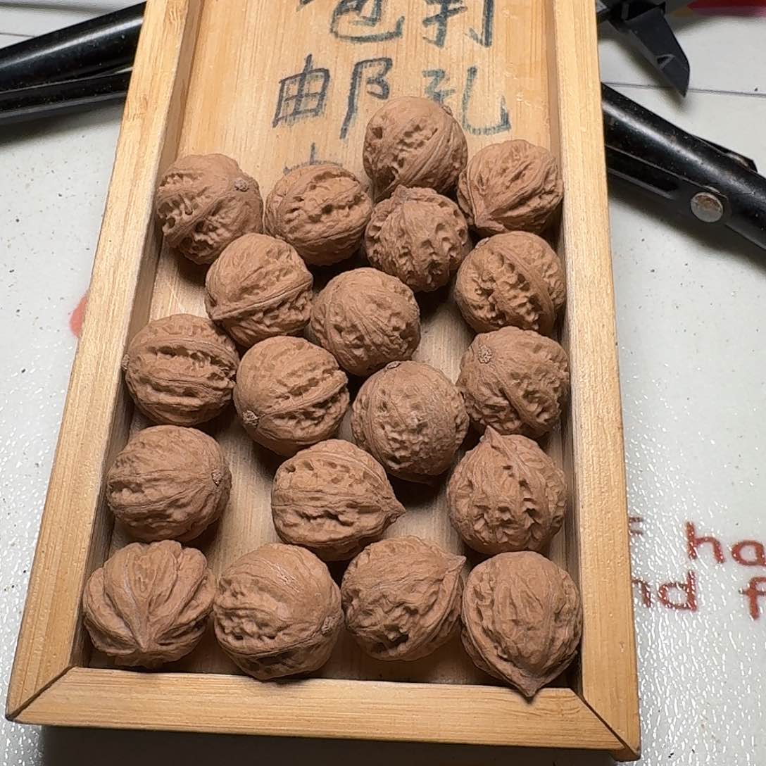 核桃手串/手链21号边23肚25高24