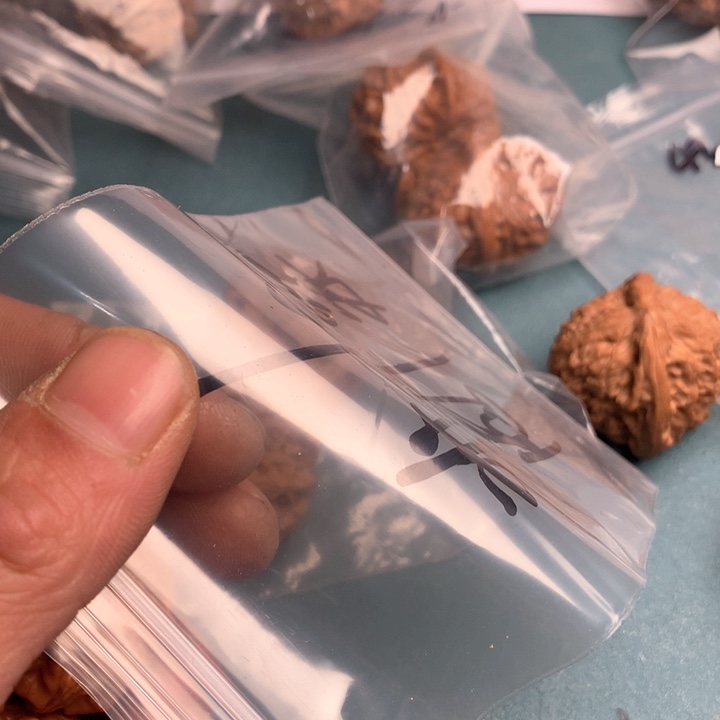 吊坠文玩核桃米*苹果园1