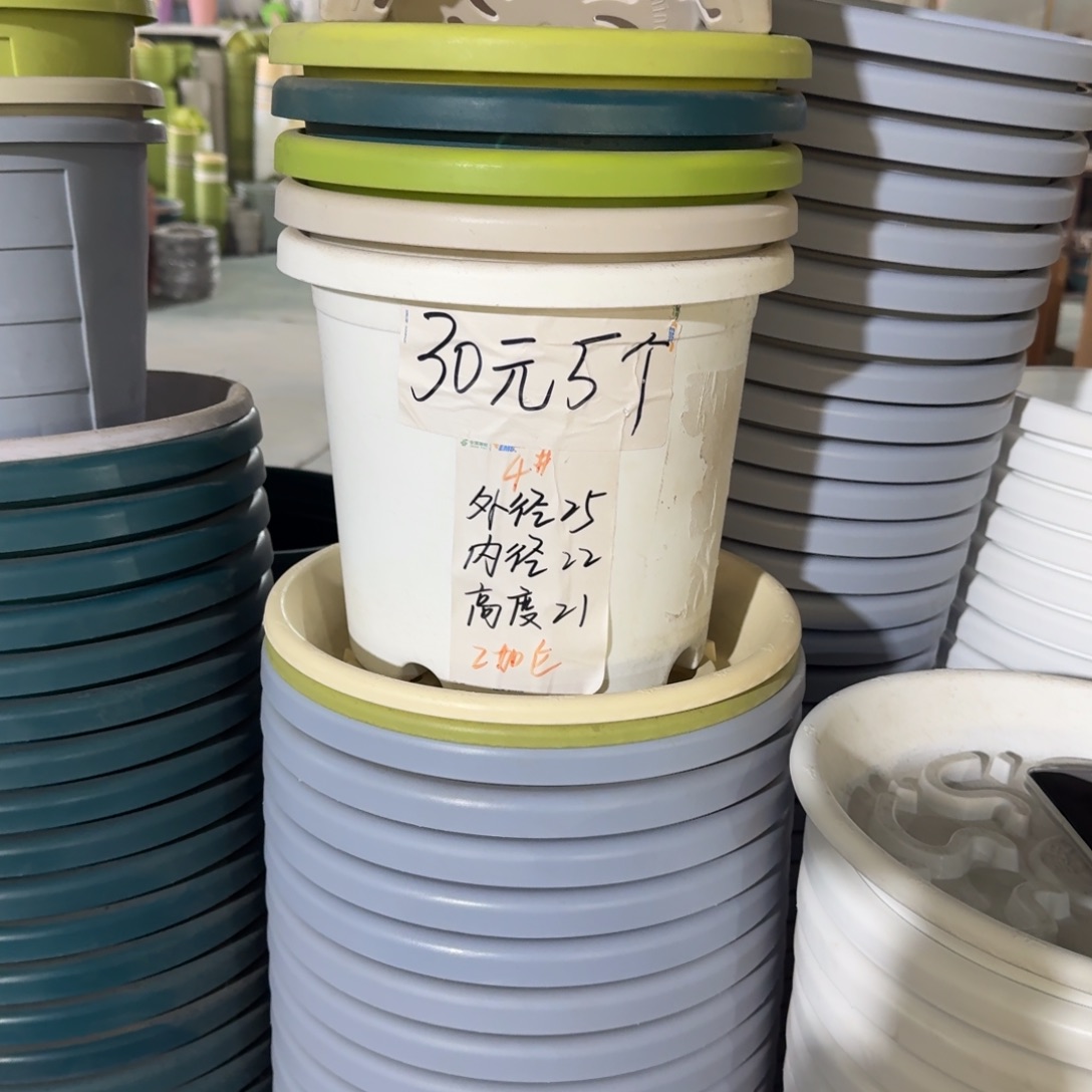 四季4#口径25无拖果绿8个