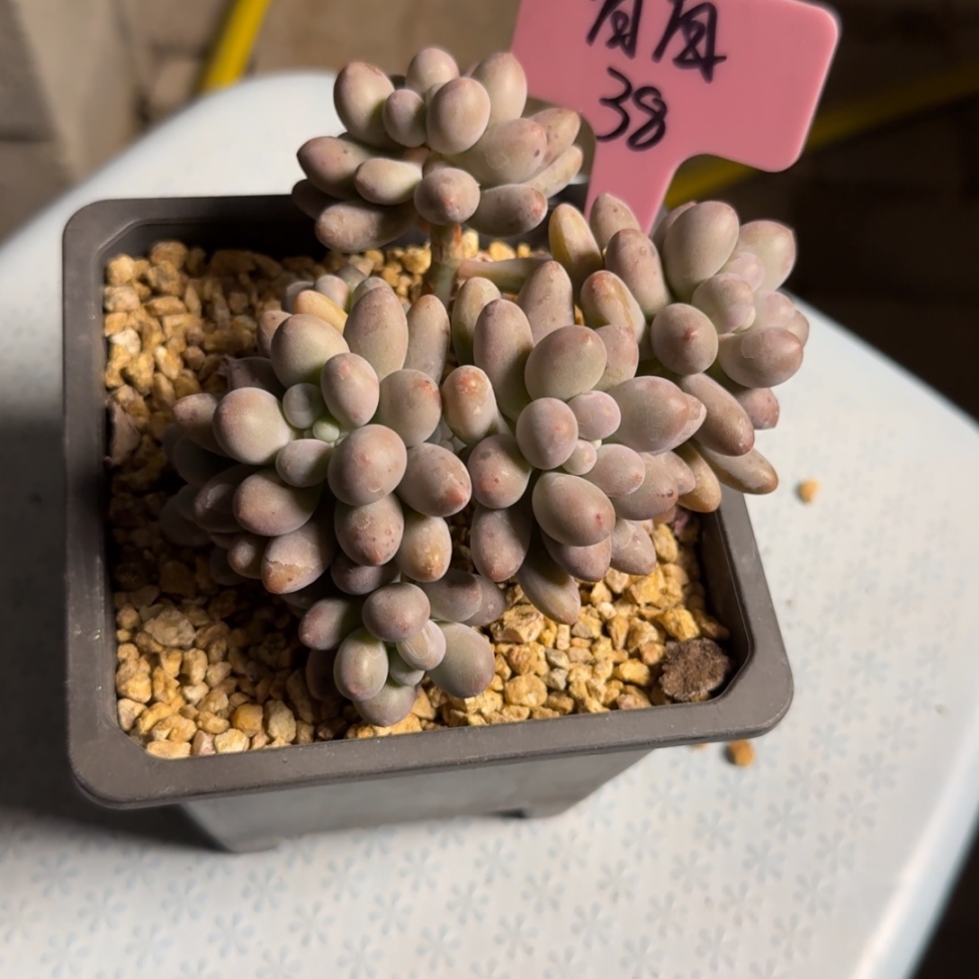 ****～1111111111111111111111