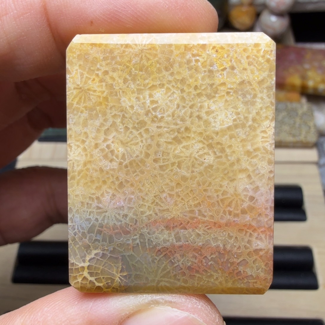 硅化玉未镶嵌纯天然色有机玉石保真色