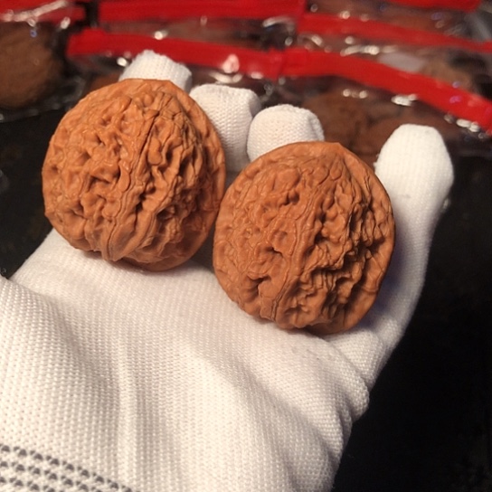 文玩核桃把件水龙纹40