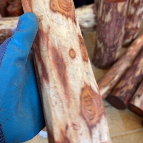 木兴黄花梨木料210木料