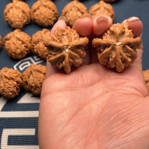 橄榄核手串/手链黑**默盘山