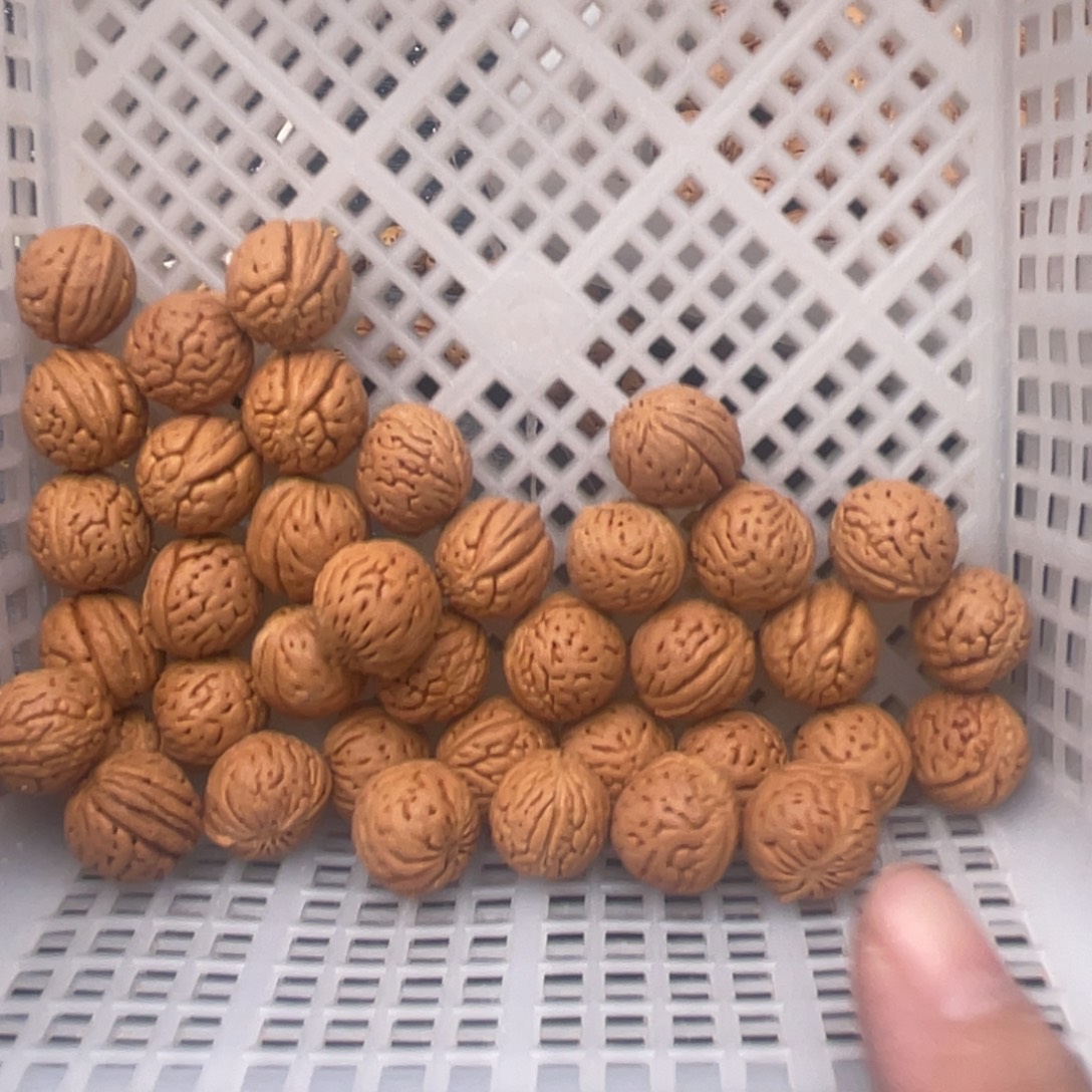 性***子核桃手串/手链散籽批发小桃核30