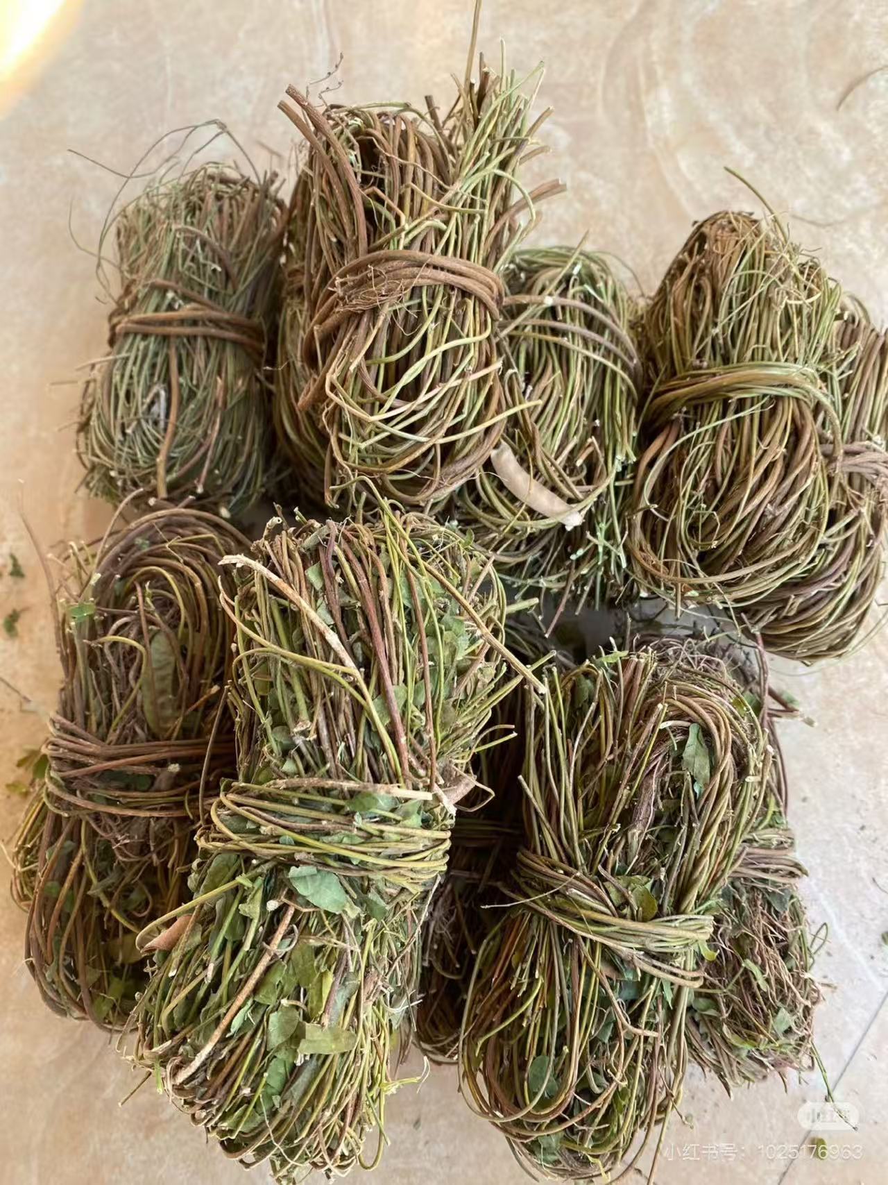 广东信宜深山野生小叶草