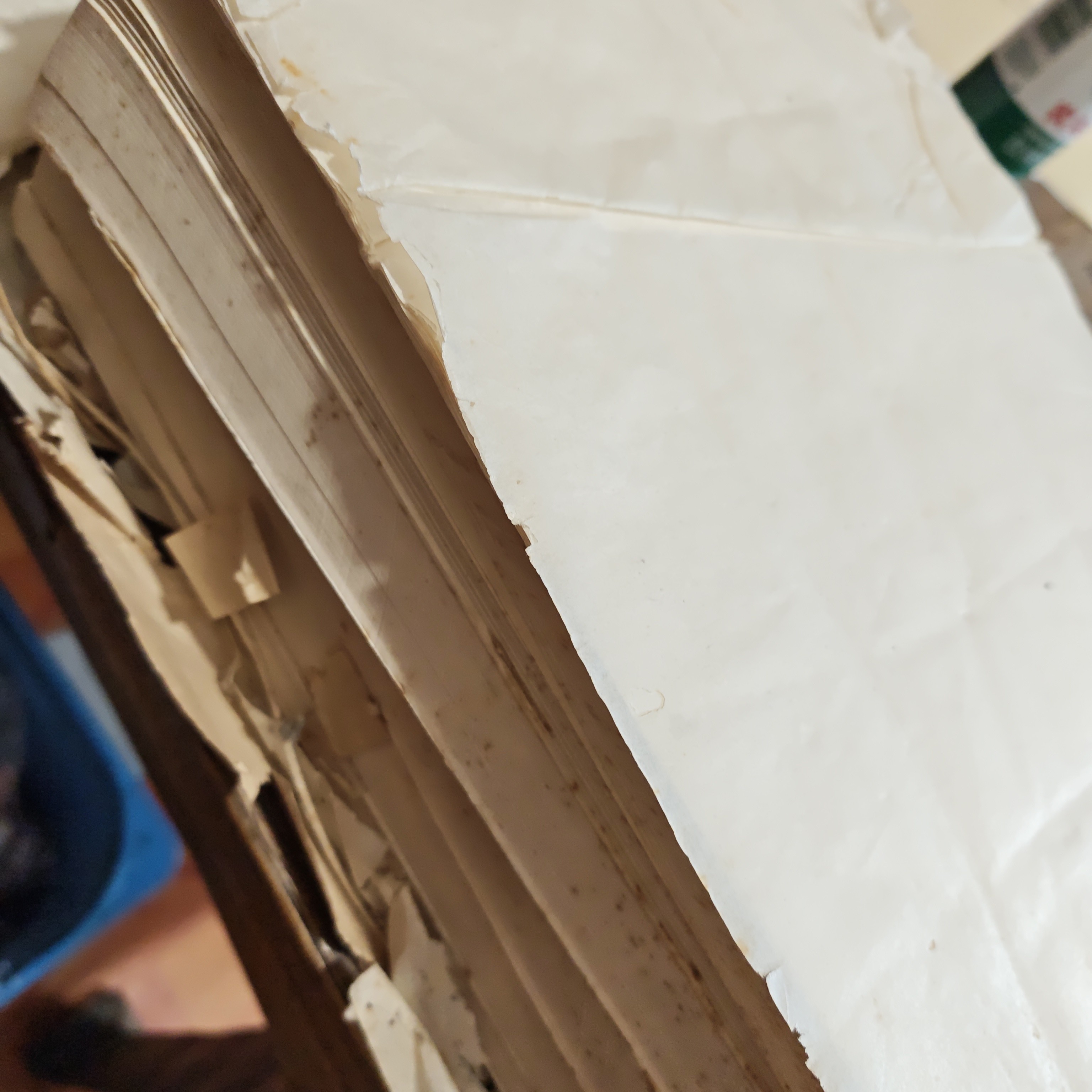 100张东洋口粮半纸24*33cm